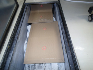 ピザーラ～西尾病院 019